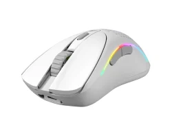 Glorious Mice & Accessories|Model D 2 Wireless Gaming Mouse - Matte White