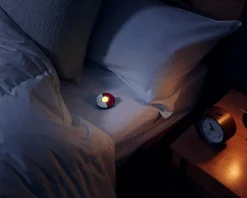 Nintendo Miscellaneous|Pokémon GO Plus +