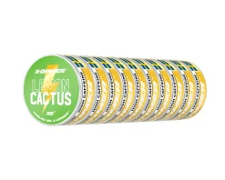 X-Gamer Drinks & Energy|Pouch Energy - Lemon & Cactus (10-Pack)